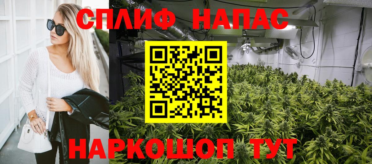 Бердск  Канабис SATIVA & INDICA  Вход с VPN  Шишки марихуана гибрид  Бошки Шишки тримм  Канабис тримм 